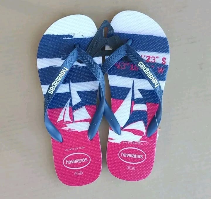 Chinelos Havaianas 